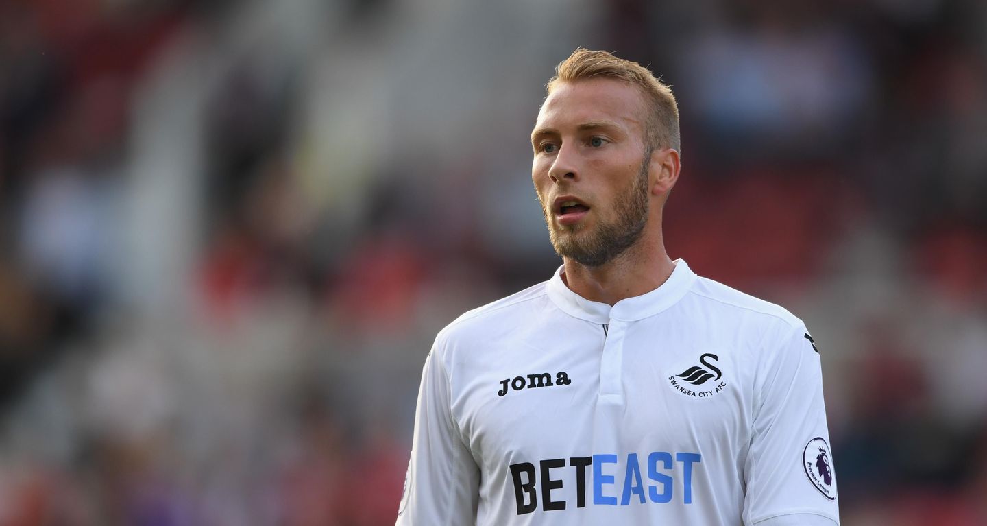 Swansea City defender Mike van der Hoorn