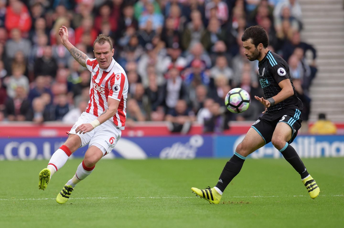 Glenn Whelan, Stoke City