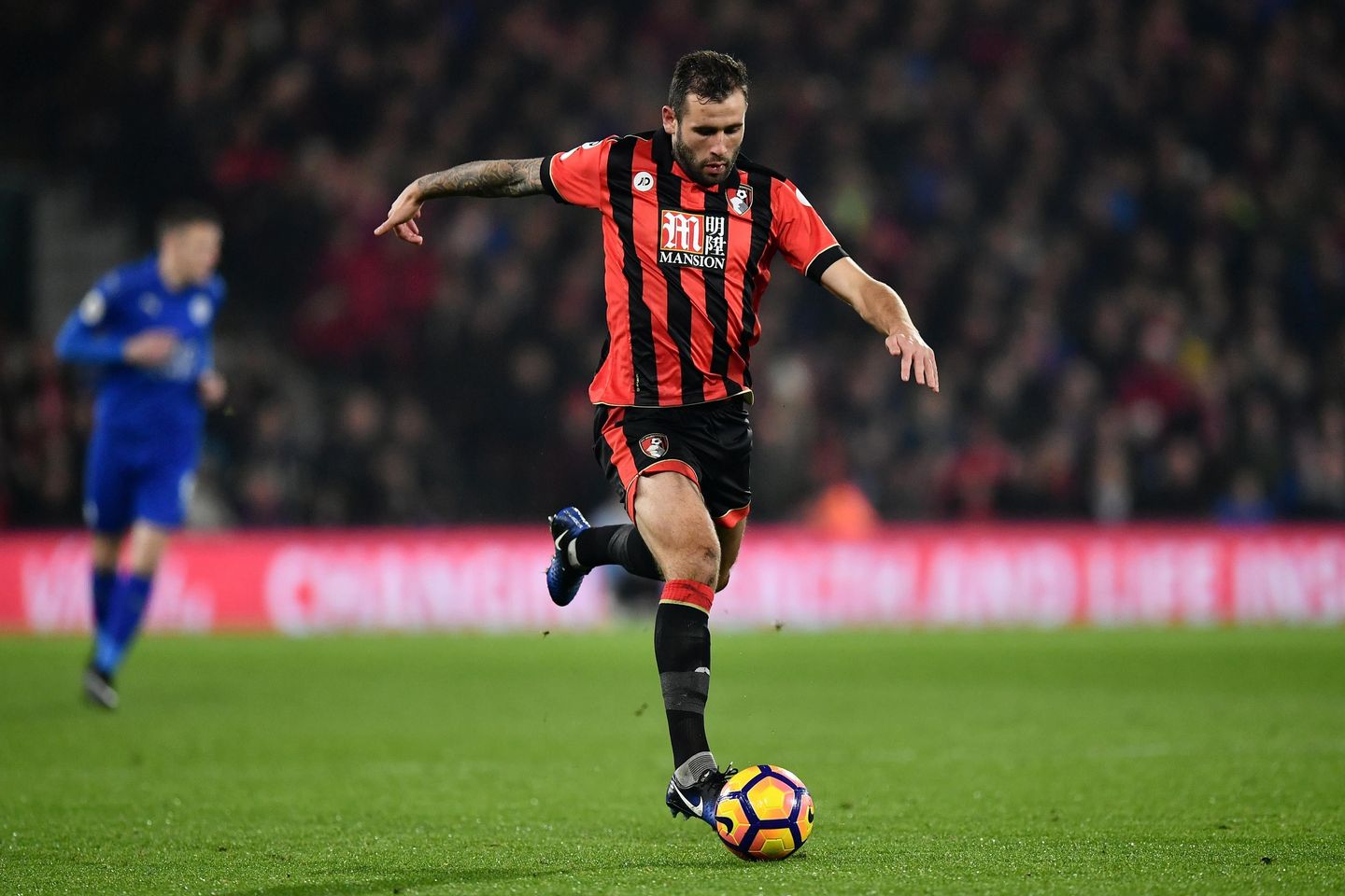 Steve Cook, AFC Bournemouth