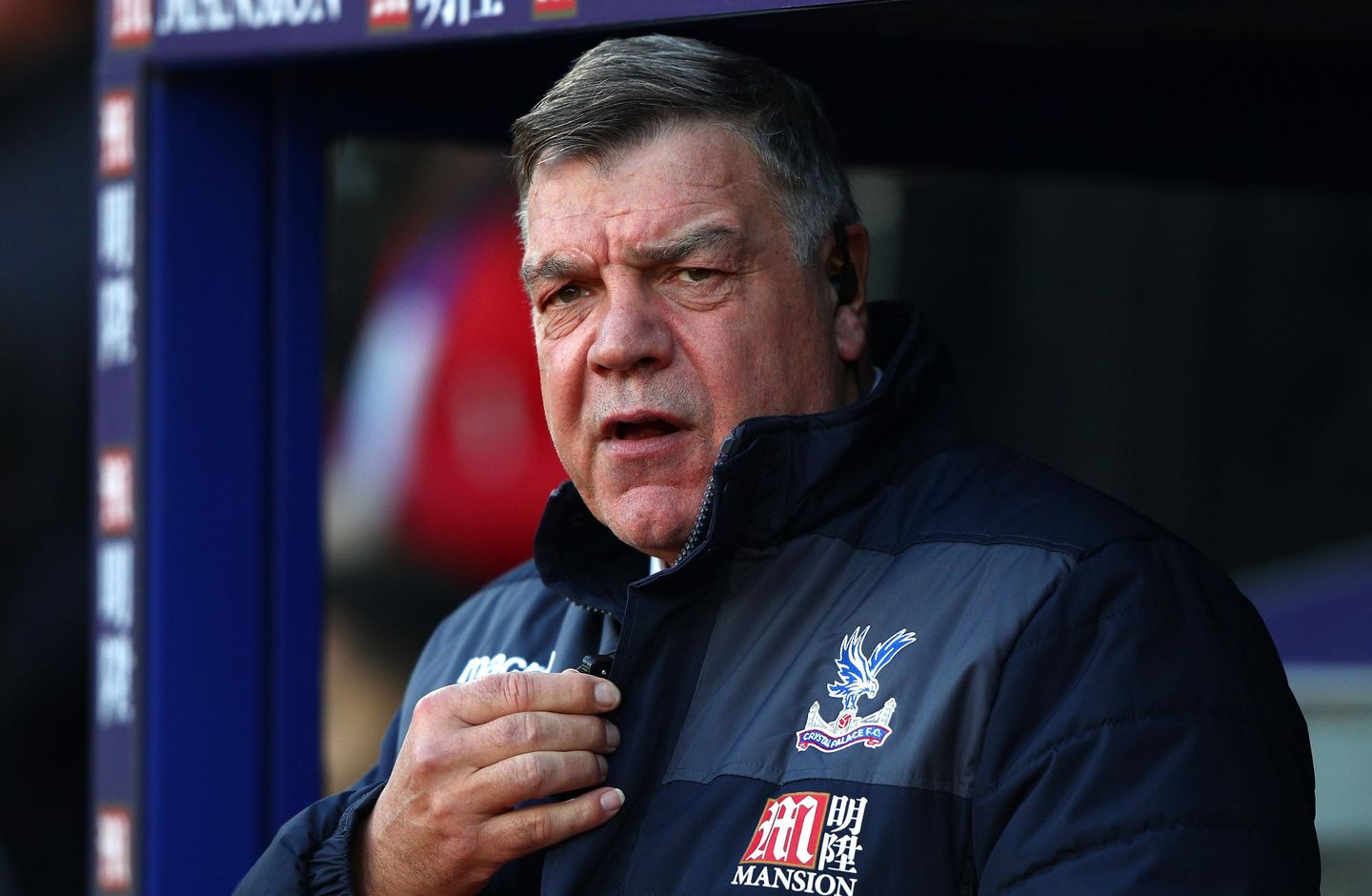 Sam Allardyce, Crystal Palace