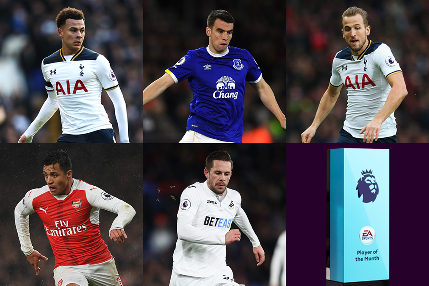 Premier League Player of the Month January shortlist, 030217