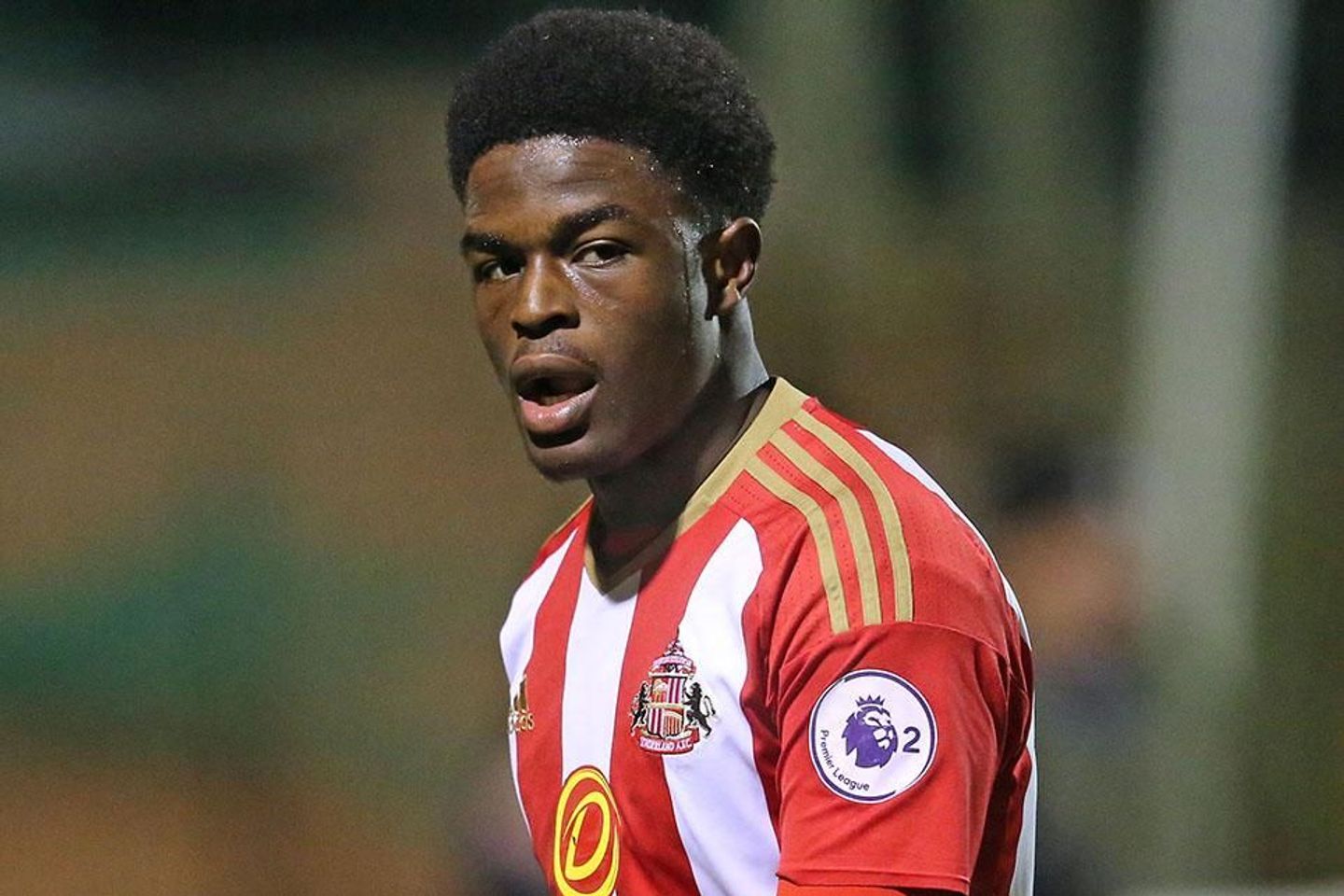 Josh Maja, Sunderland