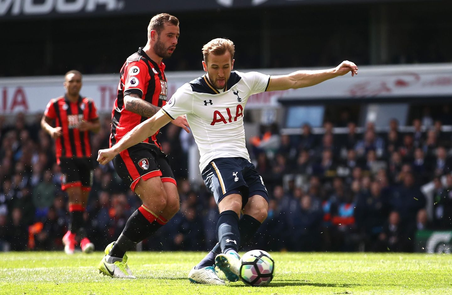 Harry Kane, Spurs