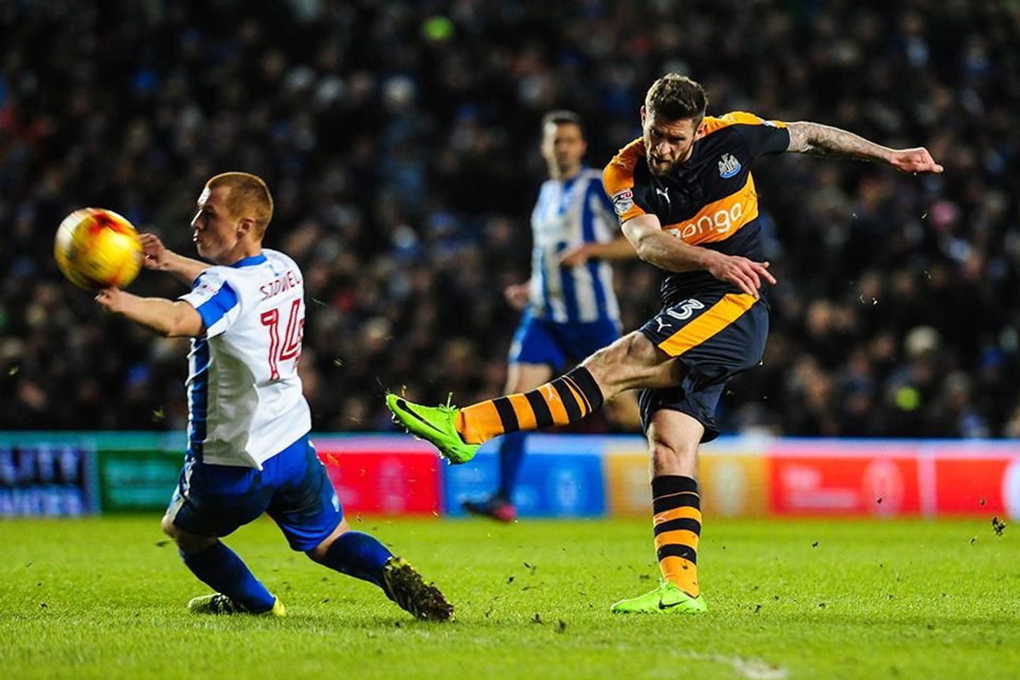 Newcastle in action against Brighton last season