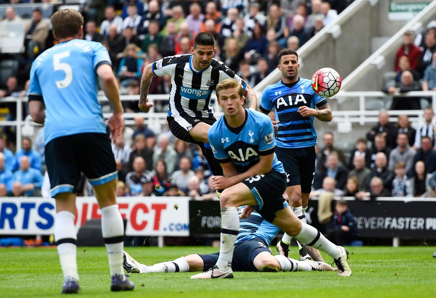 Aleksandar Mitrovic, Newcastle v Spurs