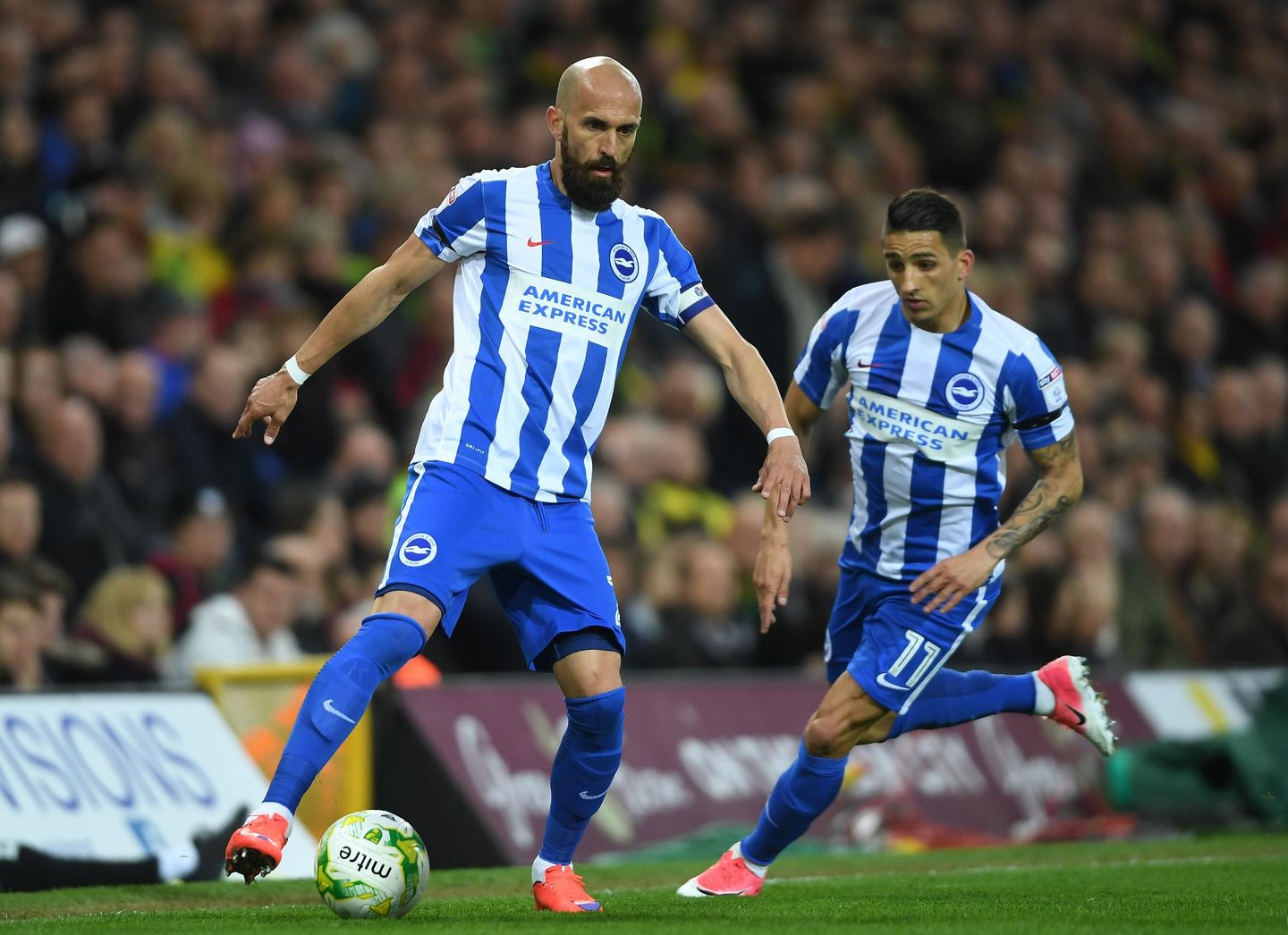 Bruno, Brighton