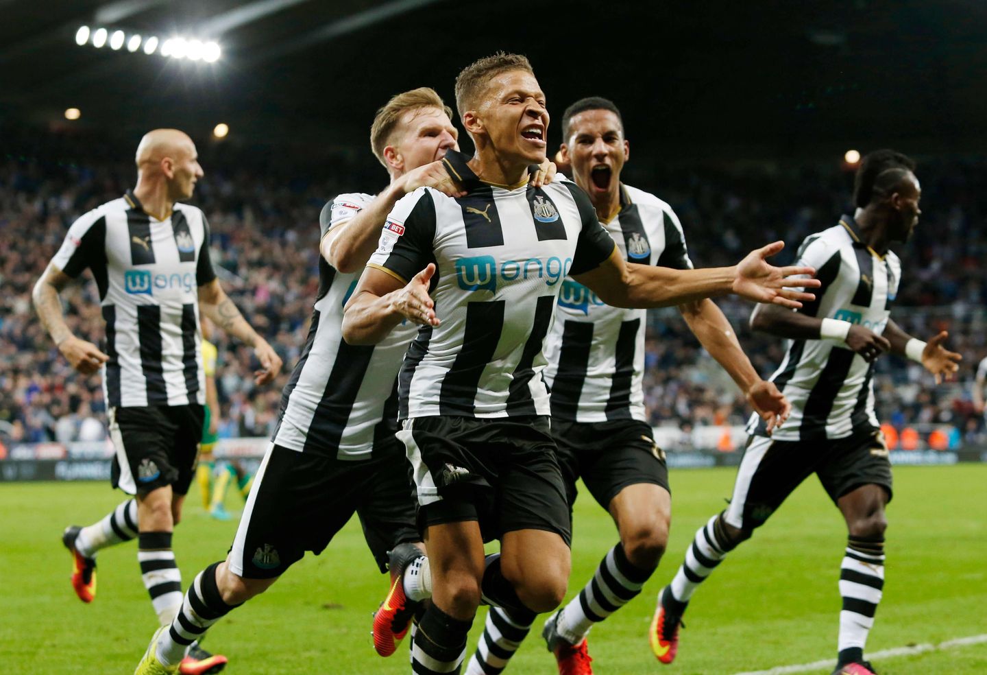 Dwight Gayle, Newcastle United