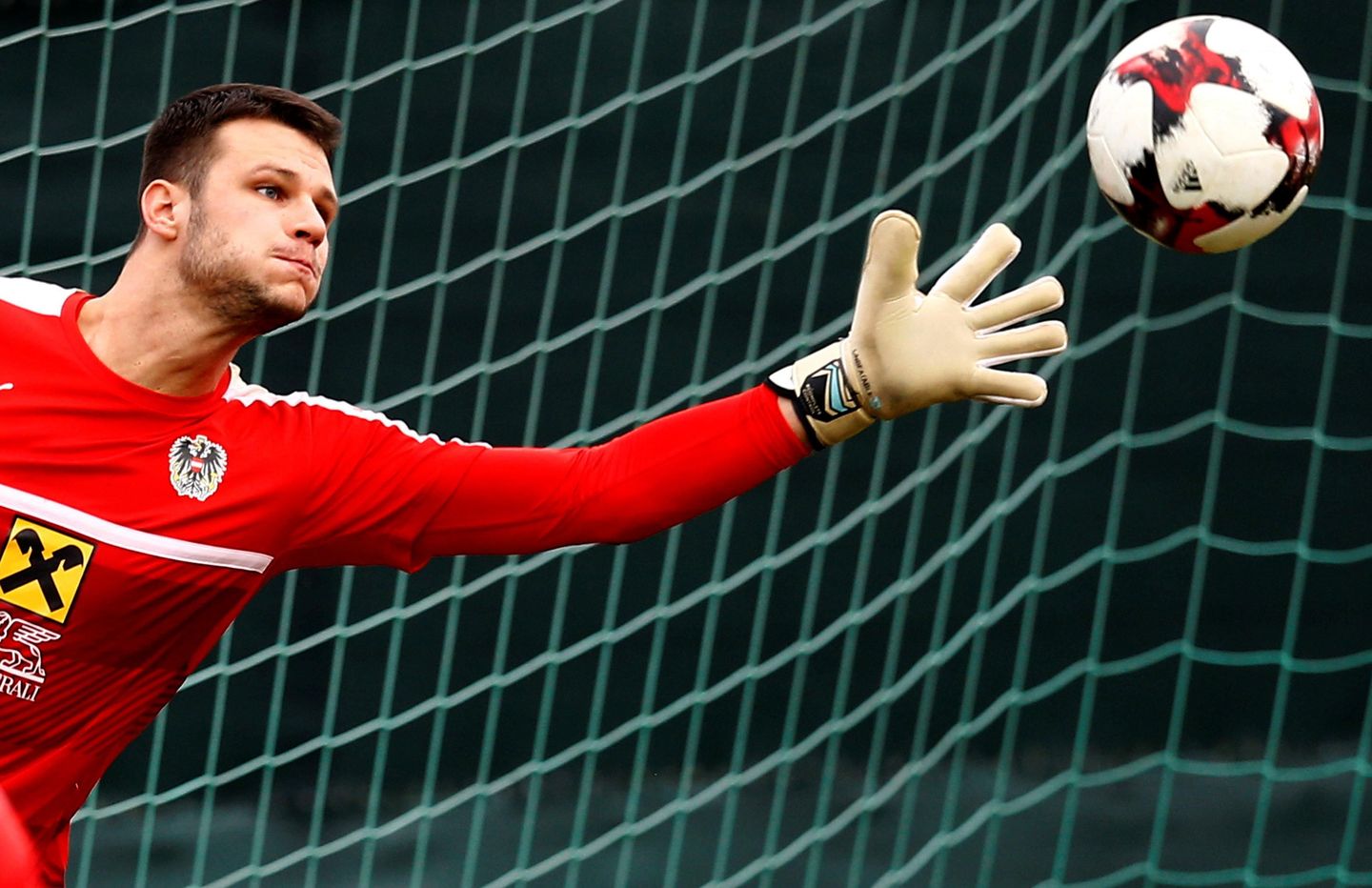 Daniel Bachmann, Watford