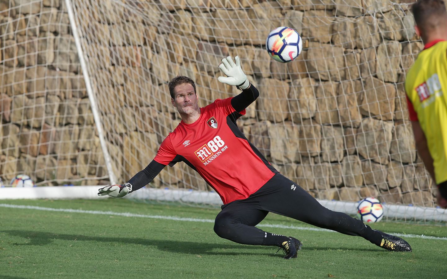Asmir Begovic, AFC Bournemouth
