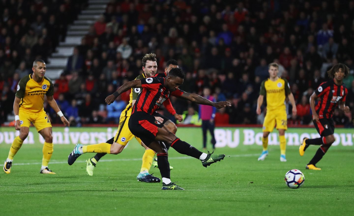 AFC Bournemouth 2-1 Brighton & Hove Albion