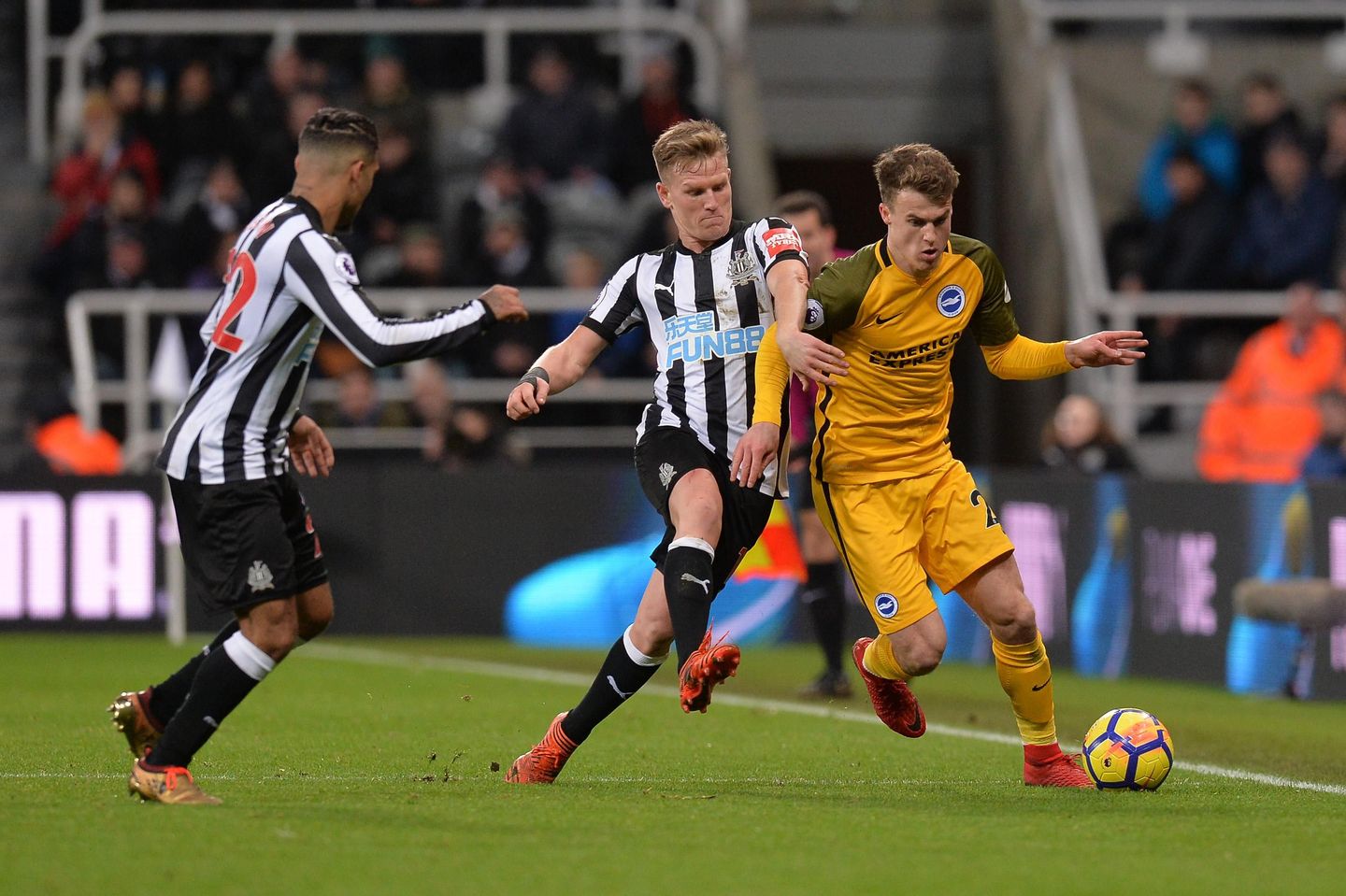 Newcastle United v Brighton & Hove Albion
