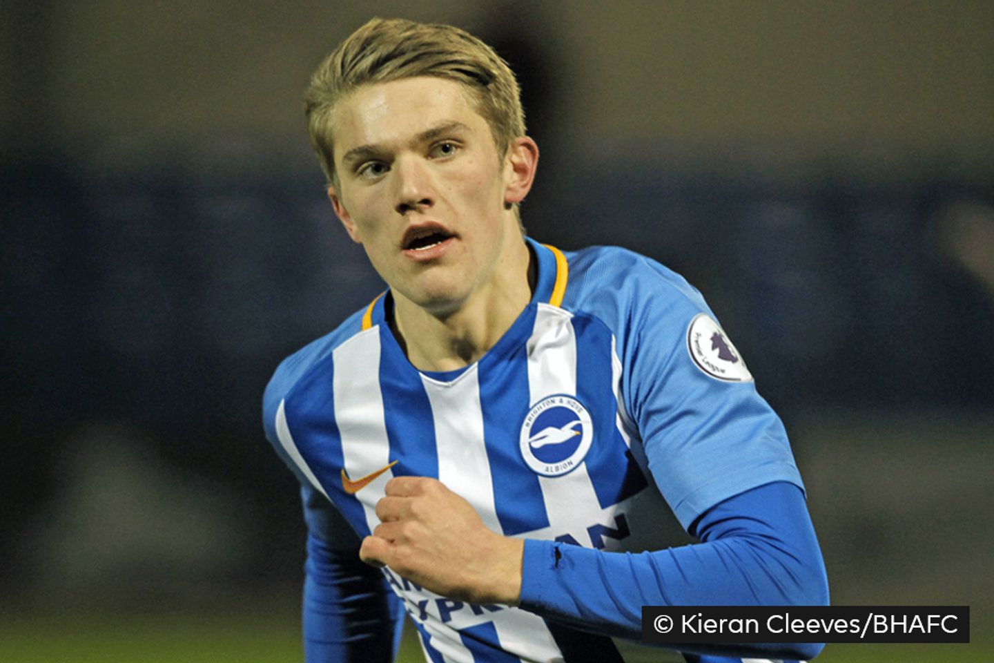 Viktor Gyokeres, Brighton