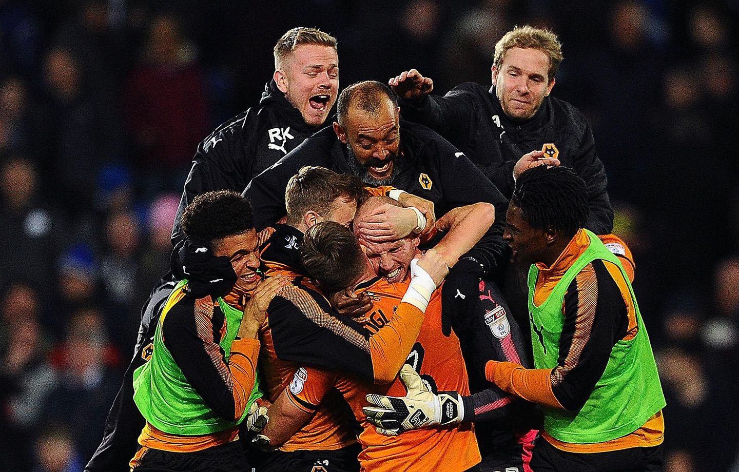 Wolves celebrate