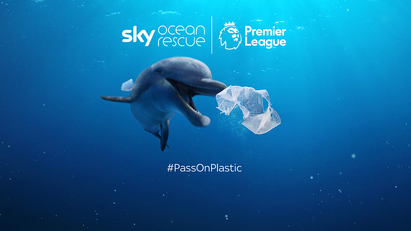 Sky Ocean Rescue image