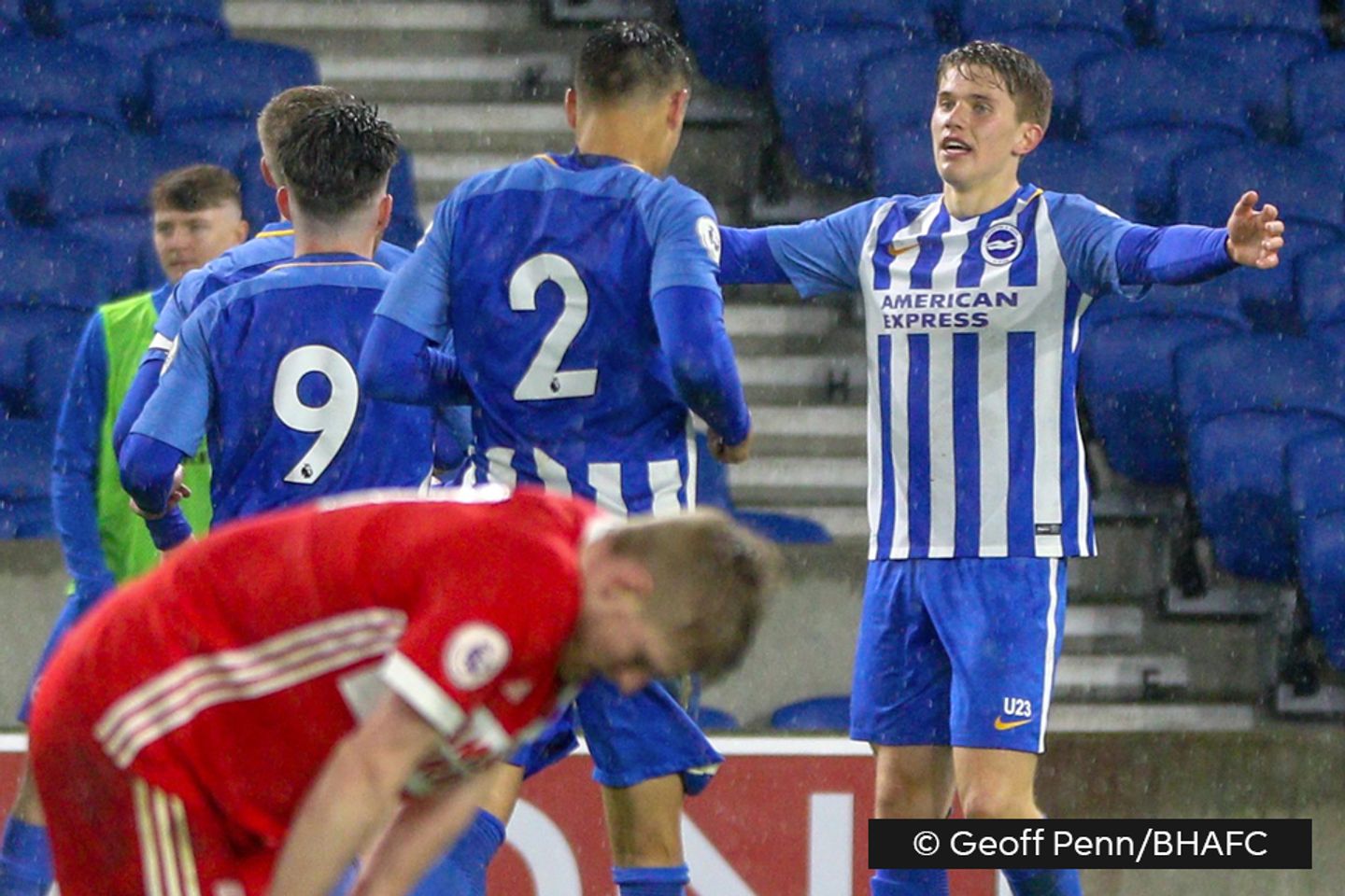 Viktor Gyokeres, Brighton