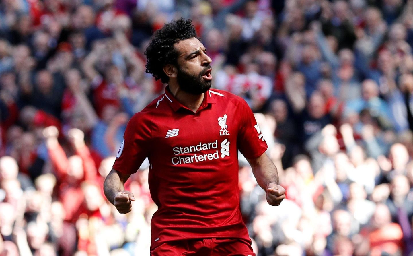 Liverpool v Brighton