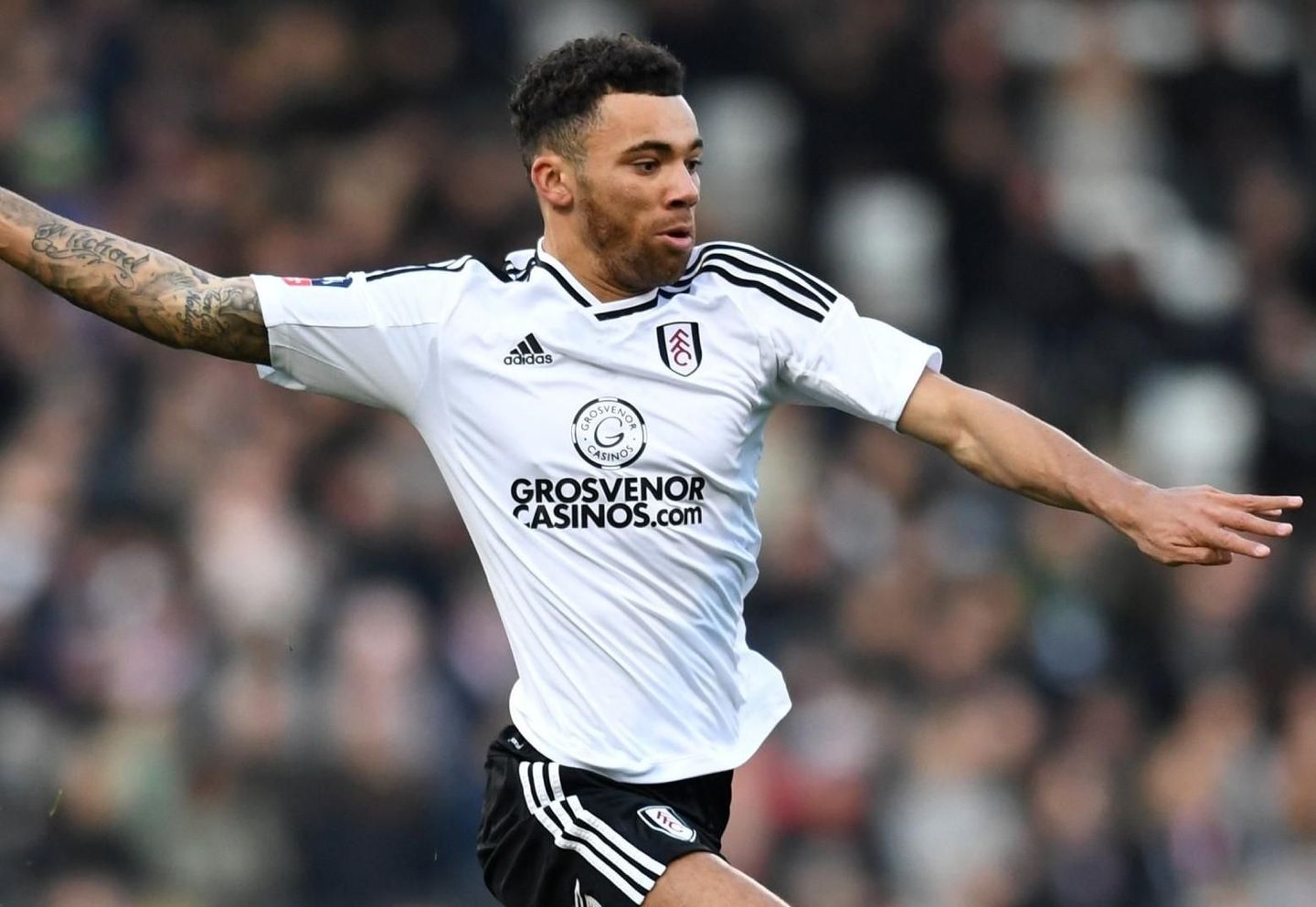Ryan Fredericks, Fulham