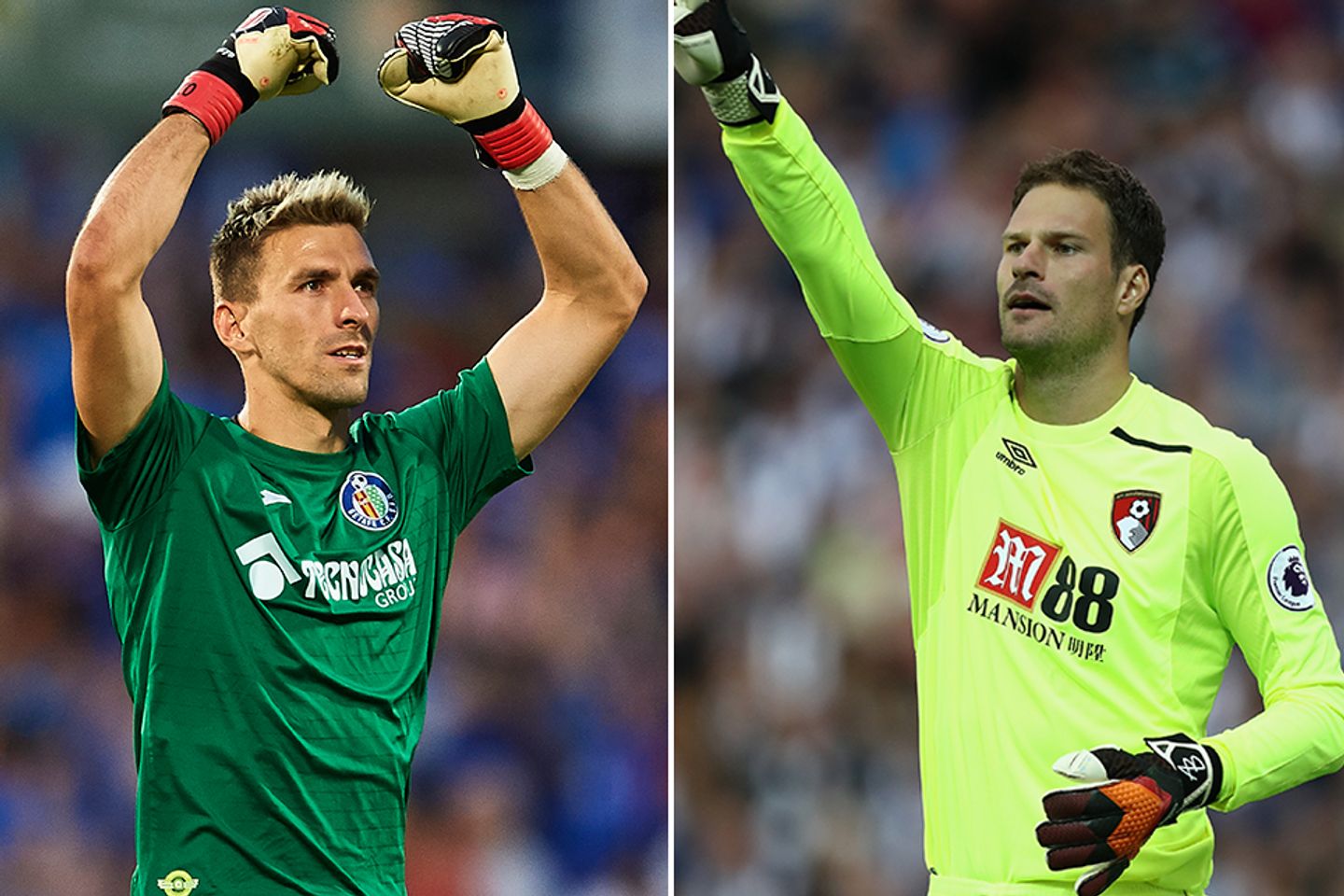 Vicente Guaita and Asmir Begovic