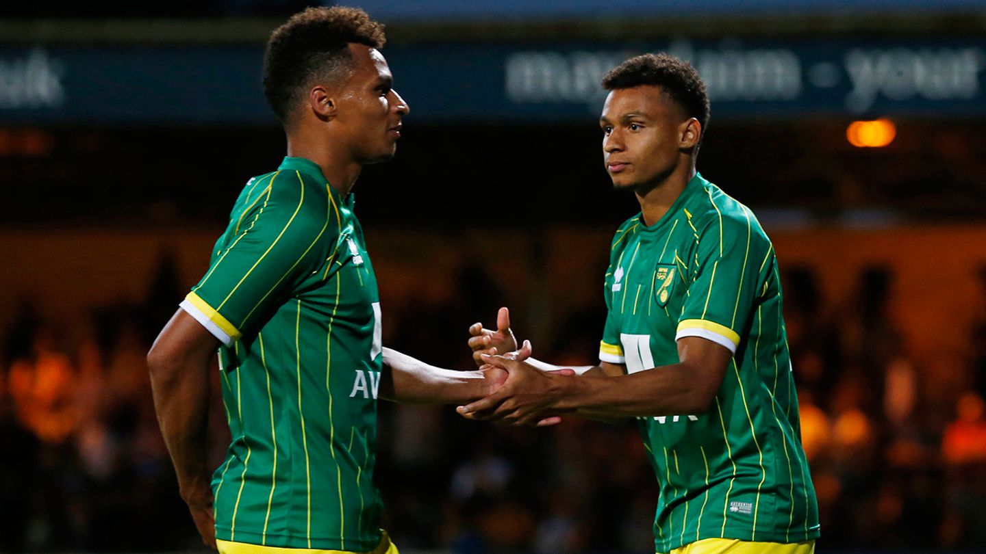 Jacob and Josh Murphy, Newcastle and Cardiff
