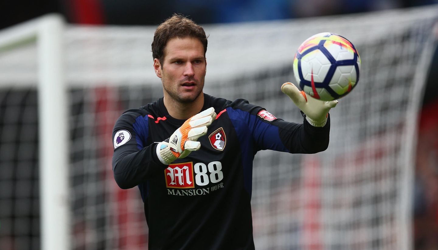 Asmir Begovic, AFC Bournemouth