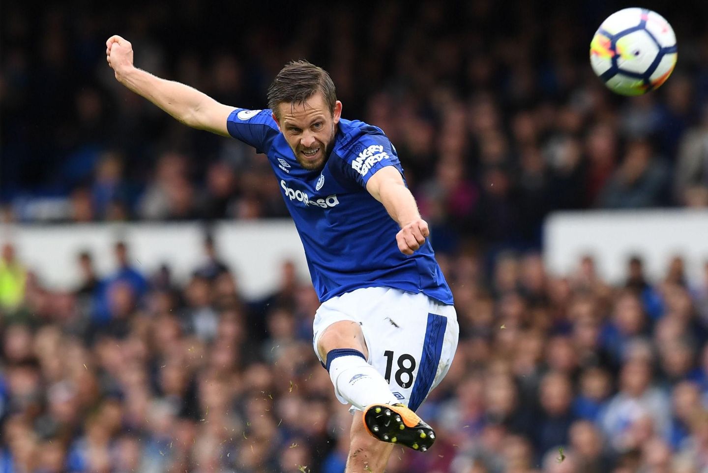 Gylfi Sigurdsson, Everton