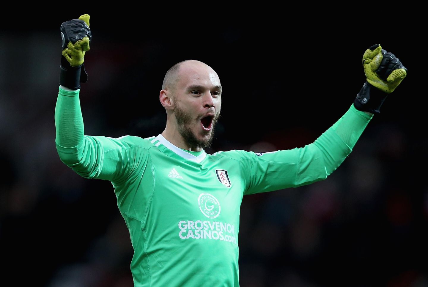 David Button, Fulham