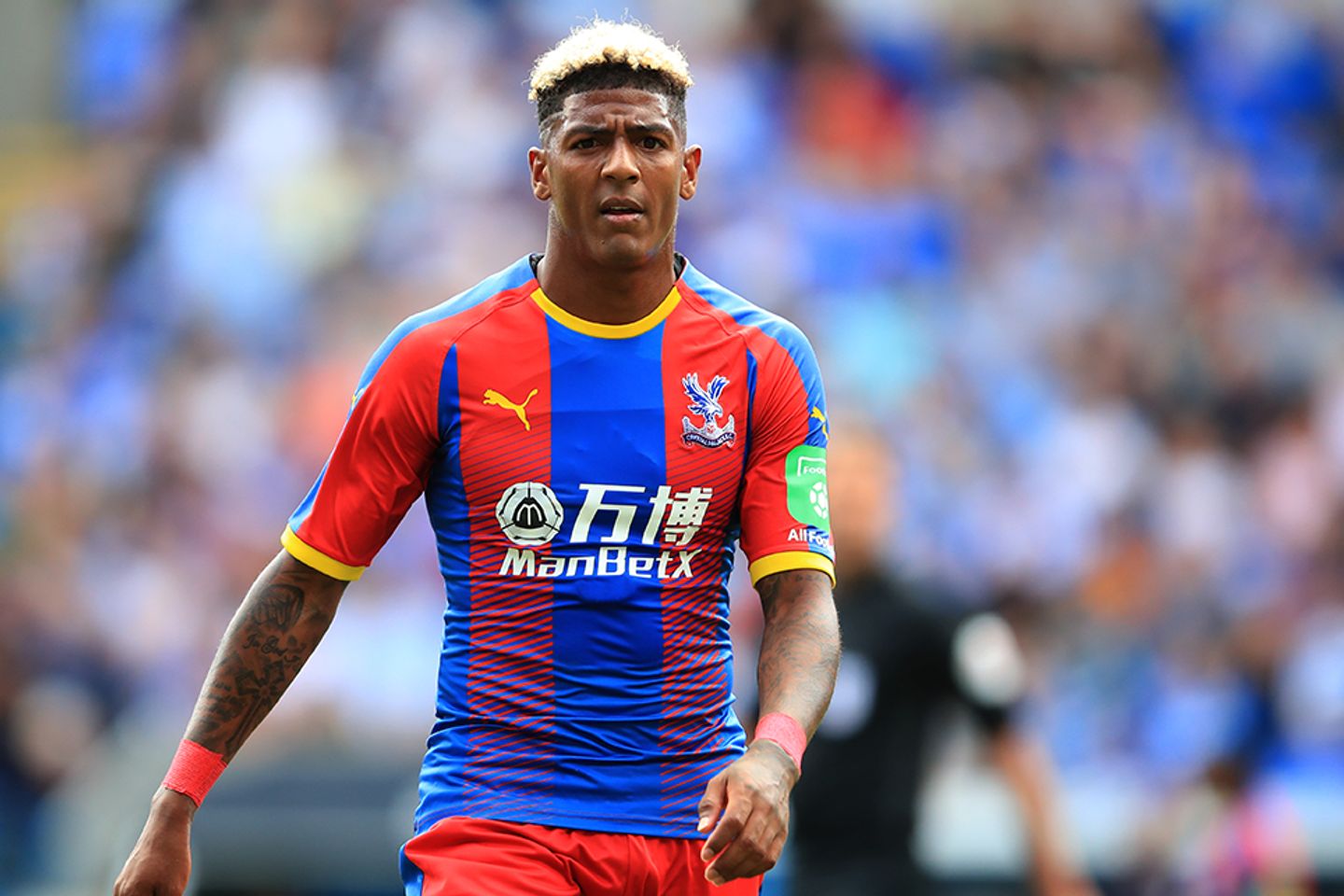 Patrick van Aanholt, Crystal Palace