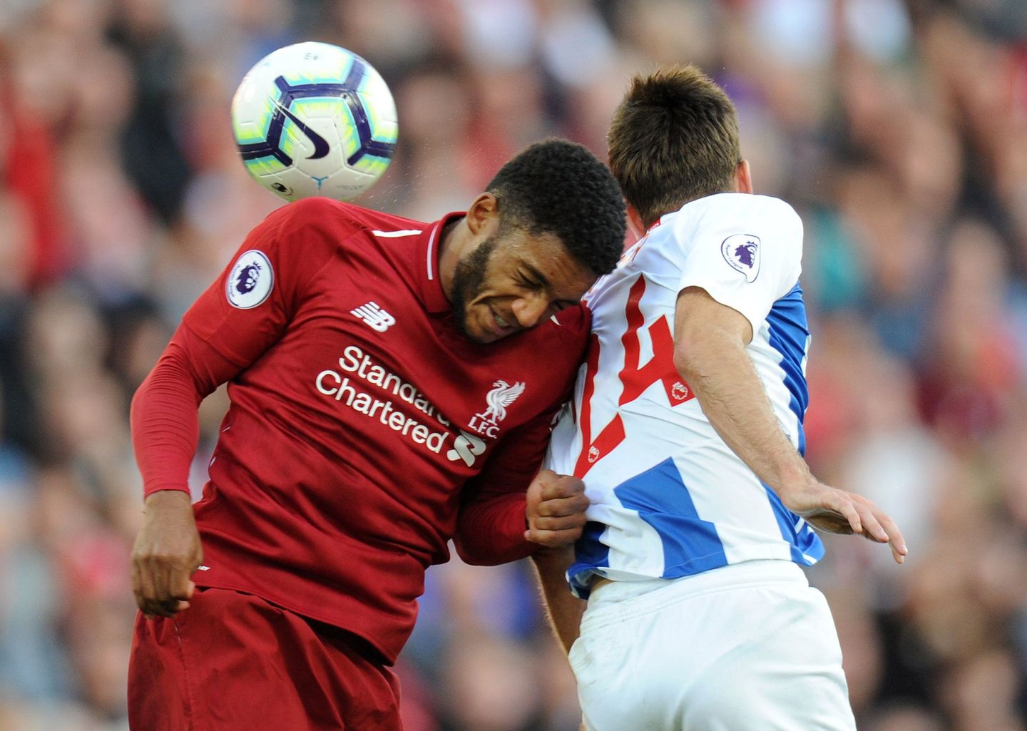 Liverpool v Brighton & Hove Albion