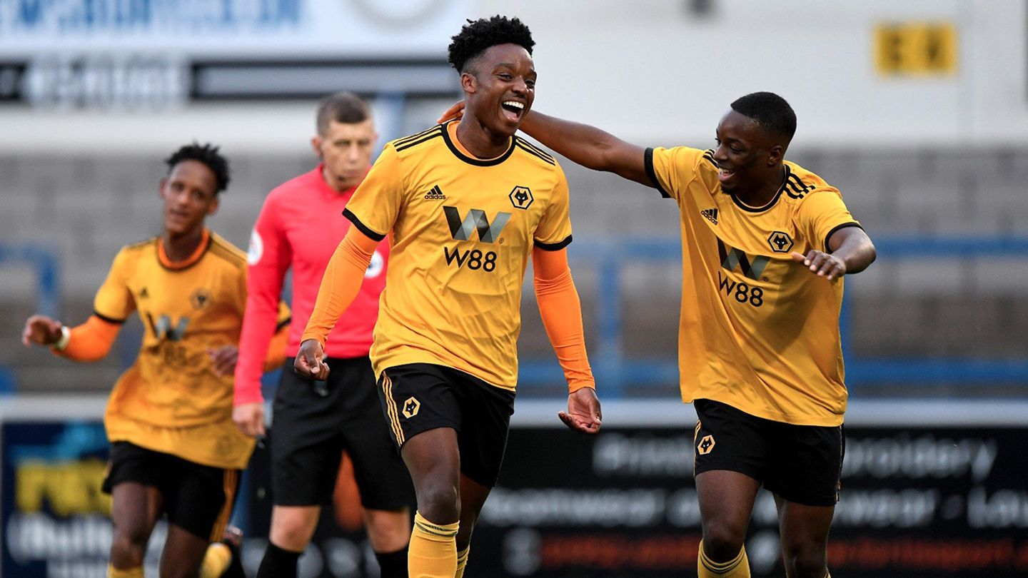 Niall Ennis, Wolves