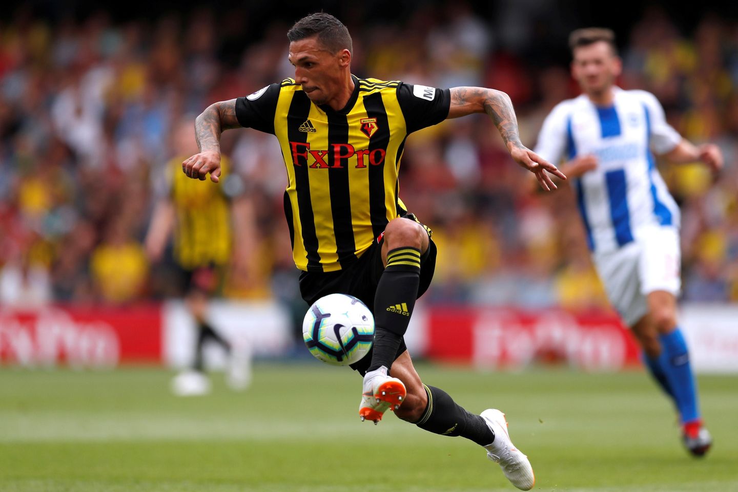 Jose Holebas, Watford