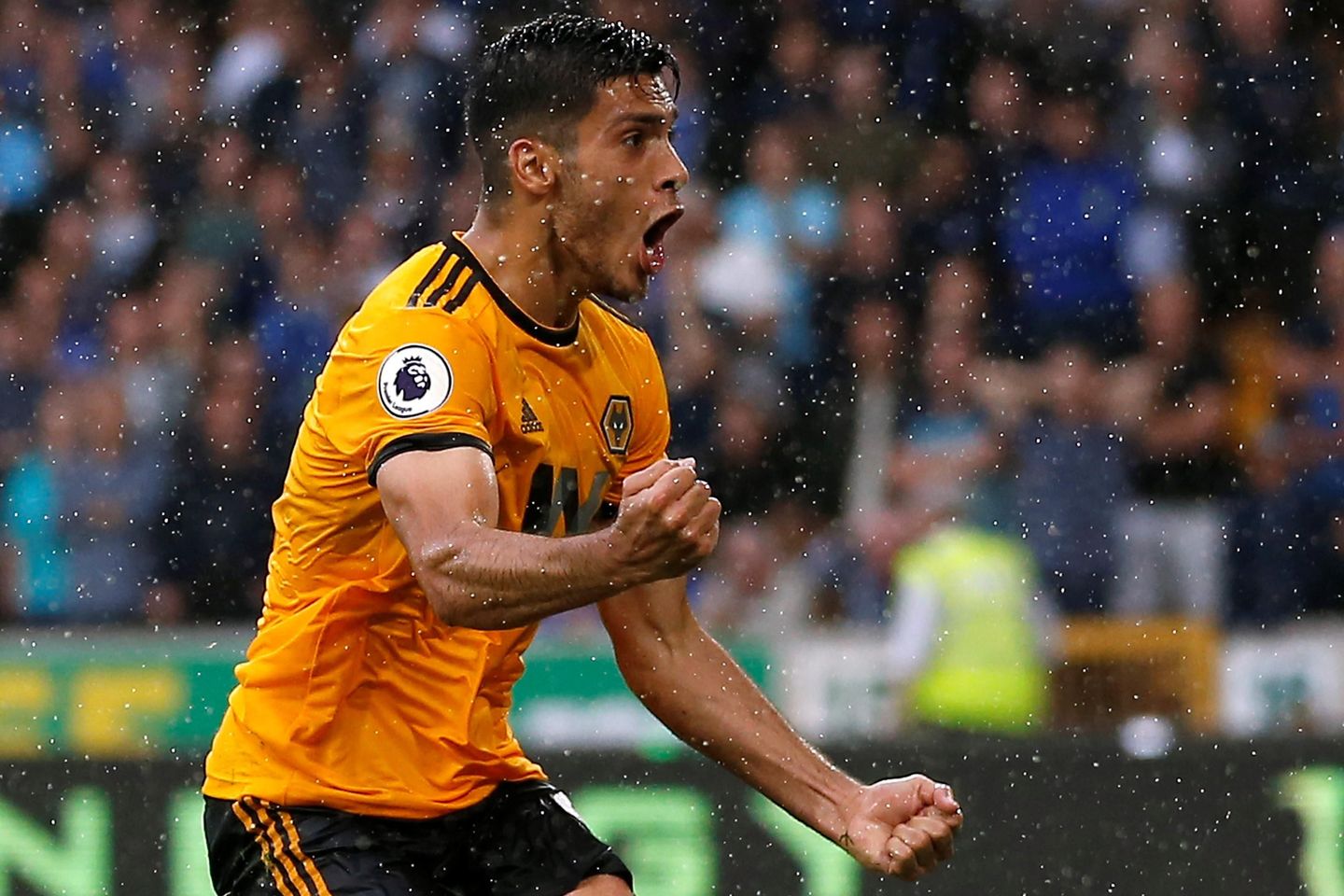Raul Jimenez, Wolverhampton Wanderers