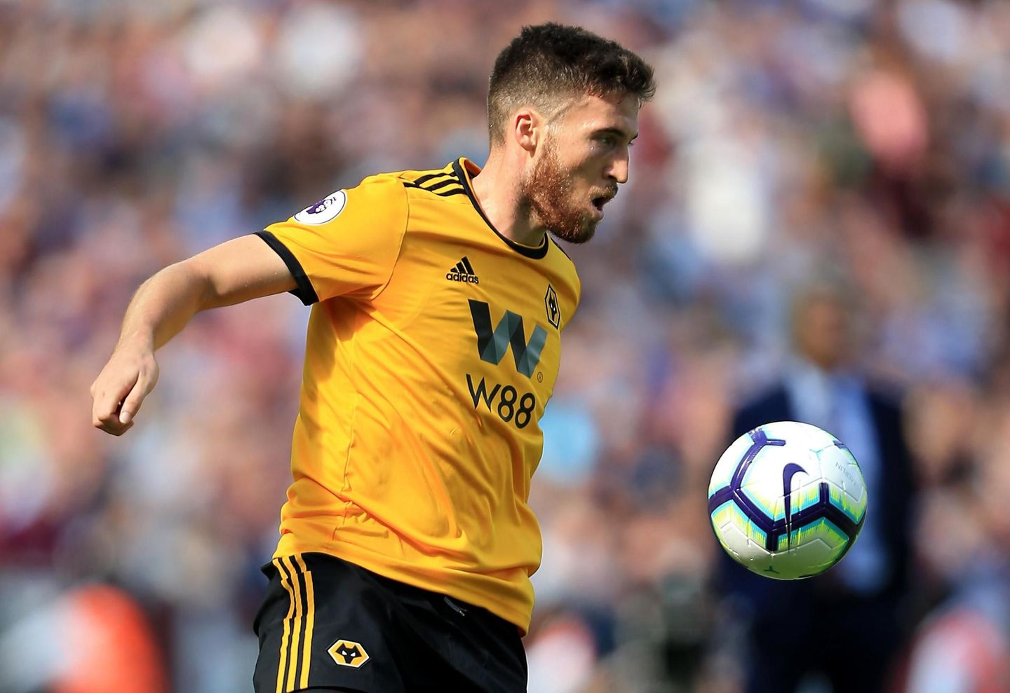 Matt Doherty, Wolves