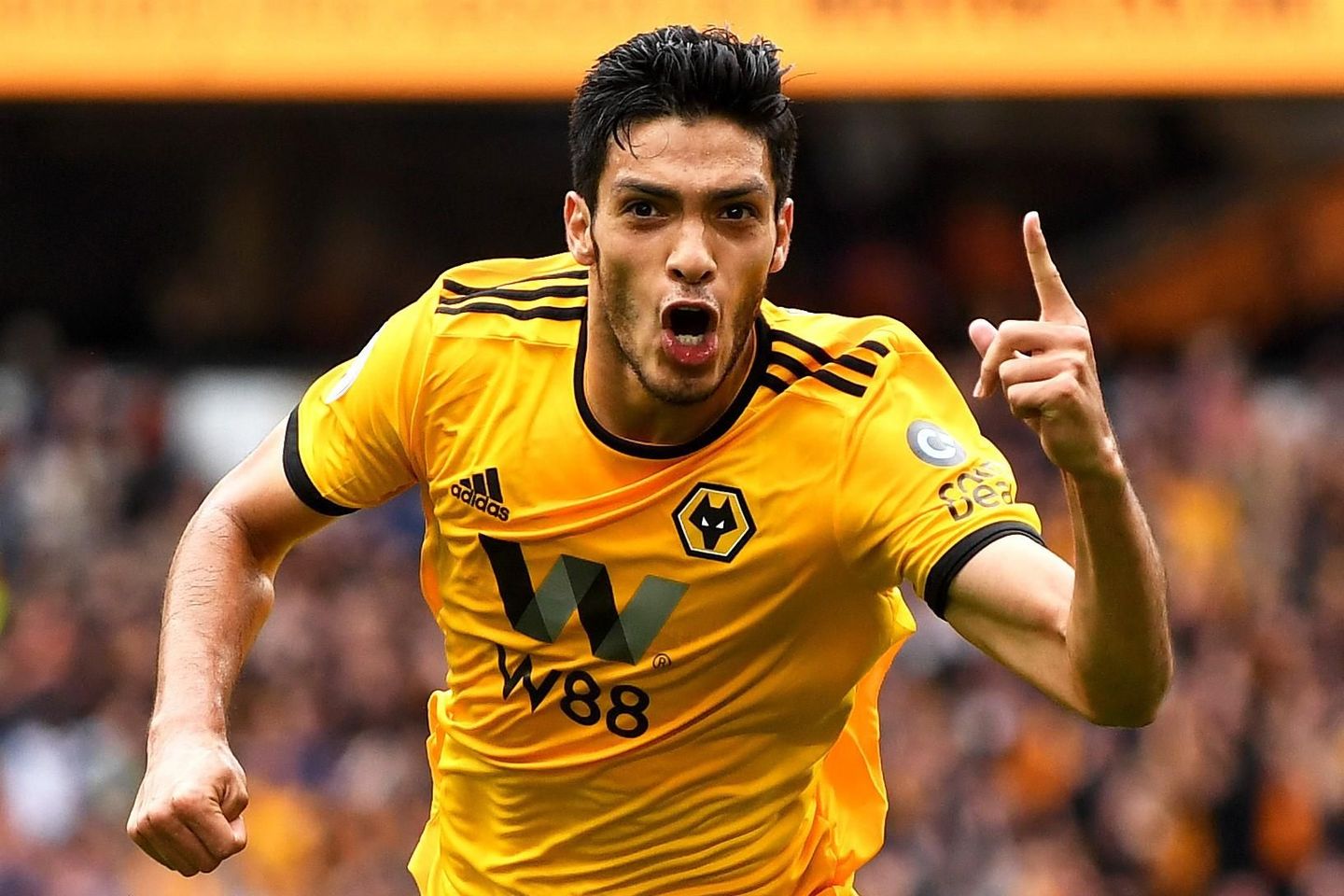 Raul Jimenez, Wolves goal