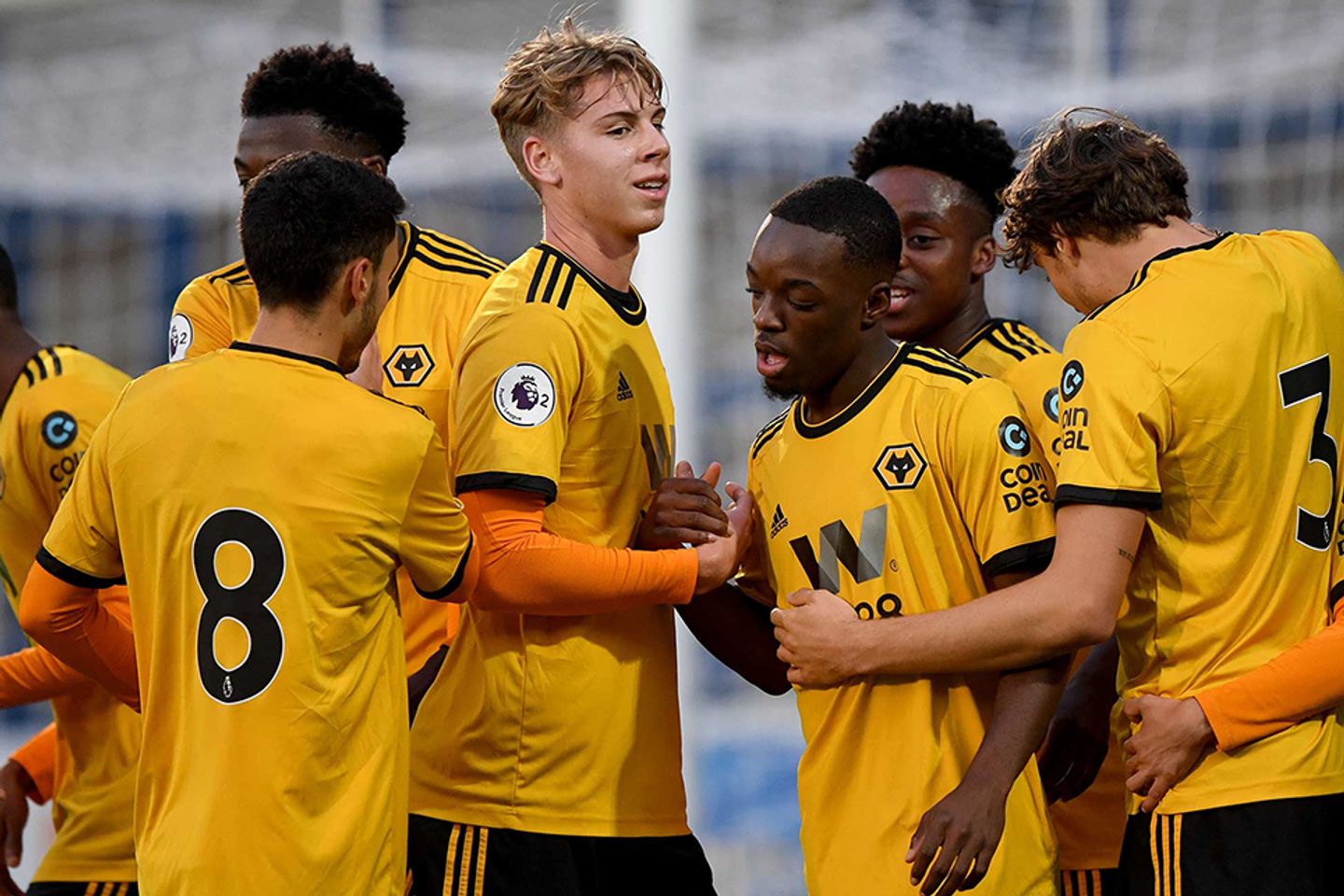 Wolves players celebrate