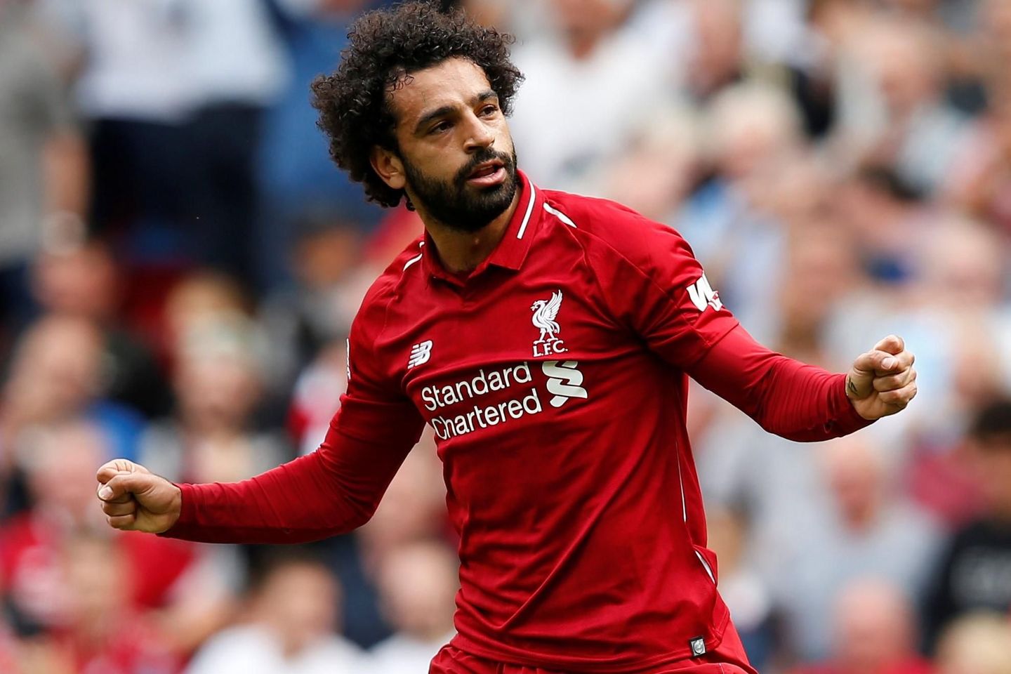 Mohamed Salah celebrates