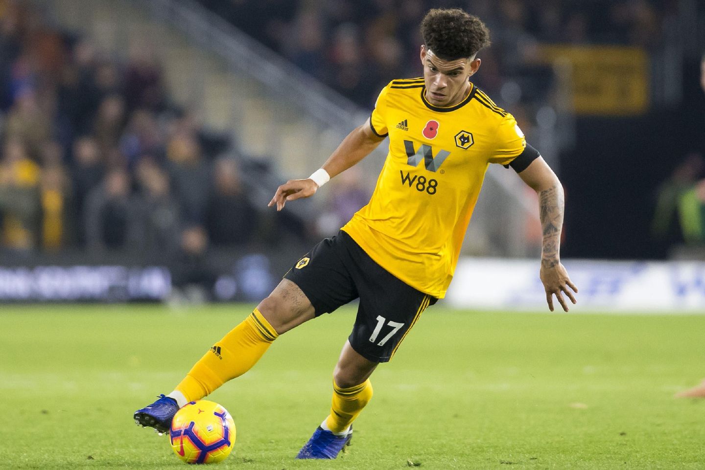 Morgan Gibbs-White, Wolves