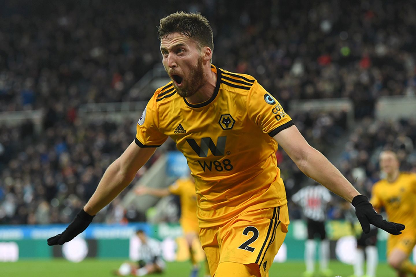 Matt Doherty, Wolves