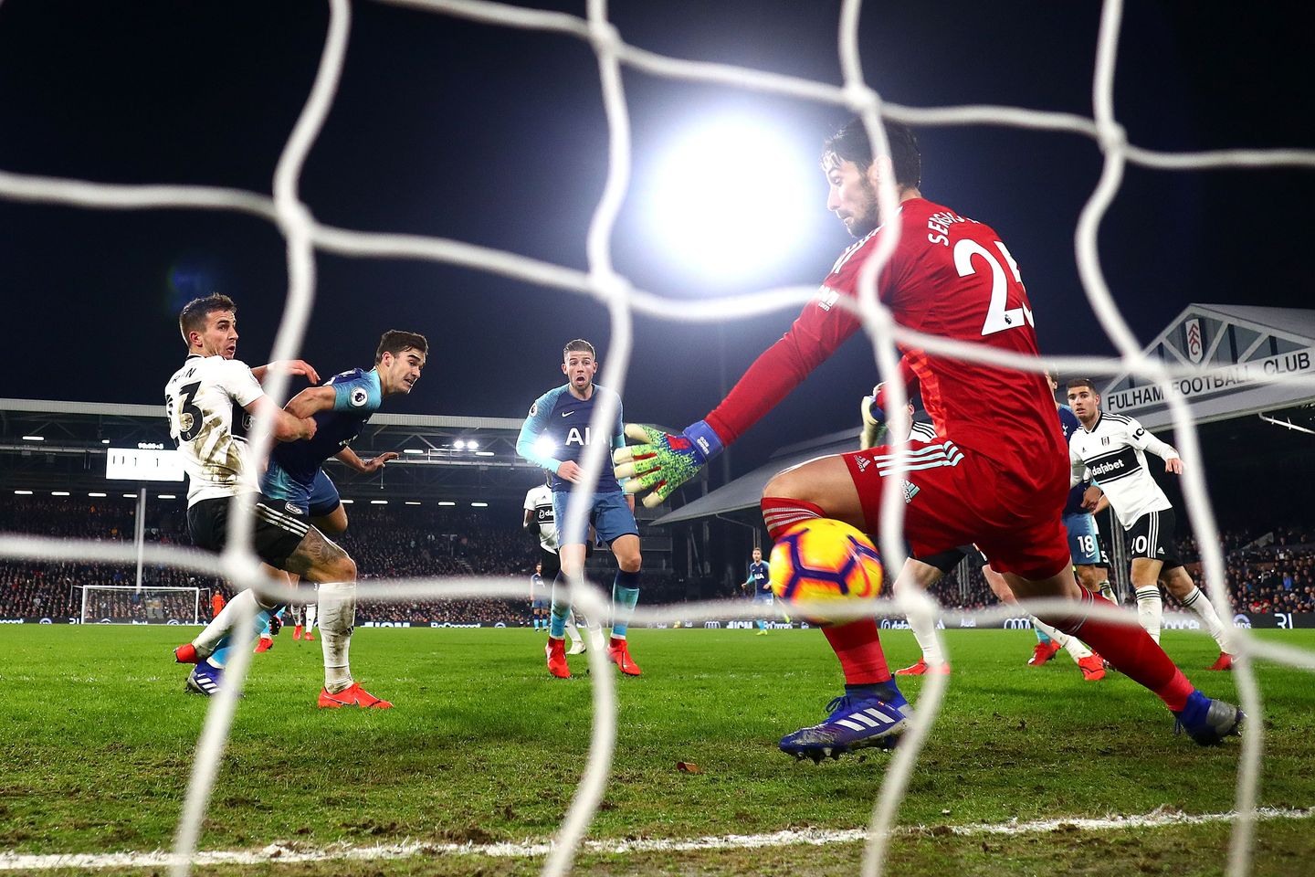 Harry Winks winner v Fulham