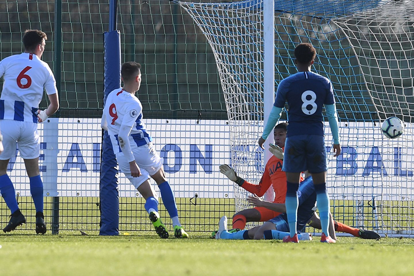 Bojan Radulovic, Brighton