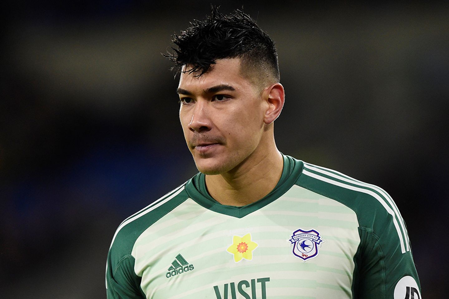 Neil Etheridge, Cardiff City