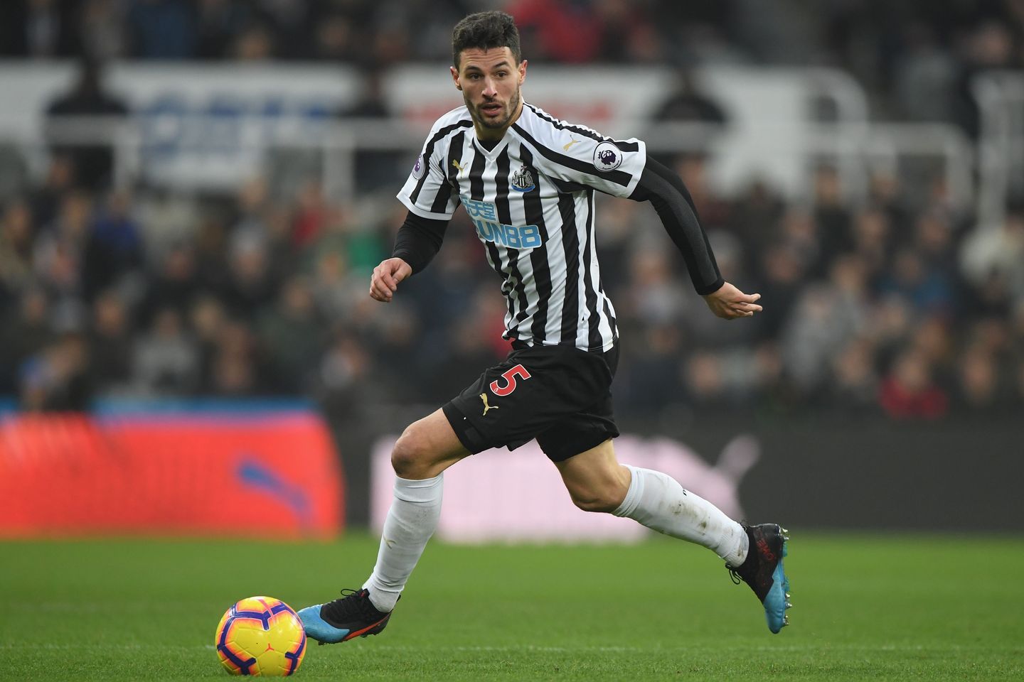 Fabian Schar, Newcastle United