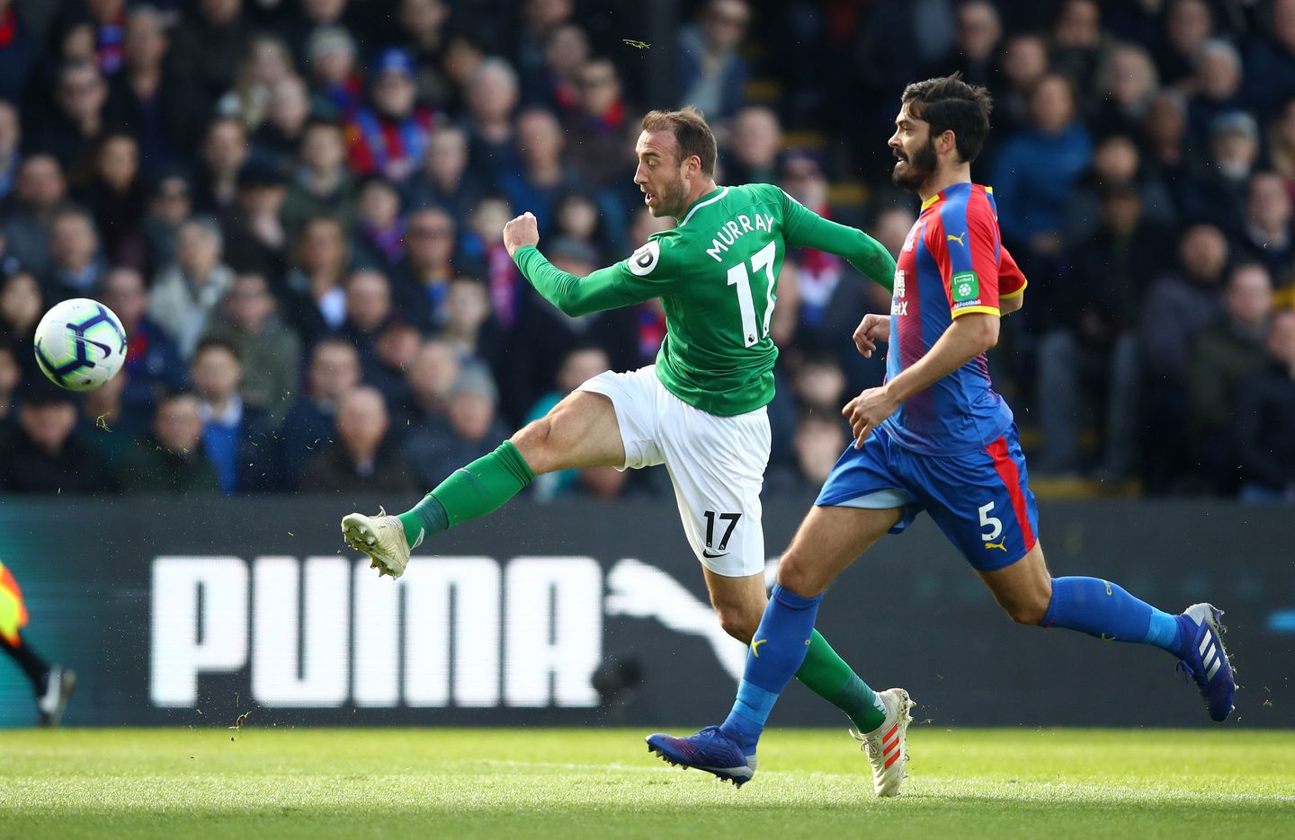 Crystal Palace v Brighton & Hove Albion - Premier League