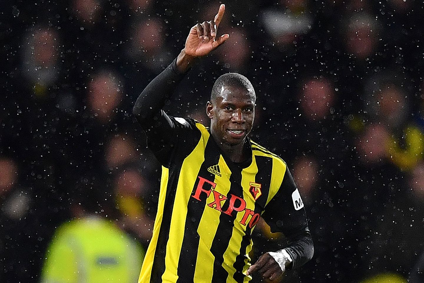 Abdoulaye Doucoure, Watford