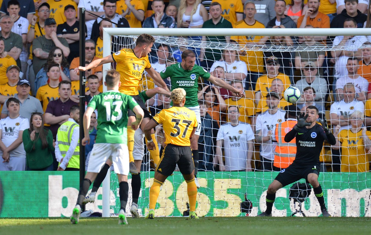 Wolverhampton Wanderers v Brighton & Hove Albion