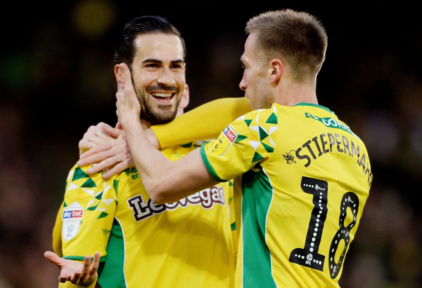 Norwich City Vrancic Stiepermann