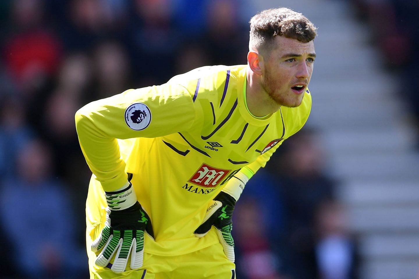 AFC Bournemouth v Tottenham Hotspur