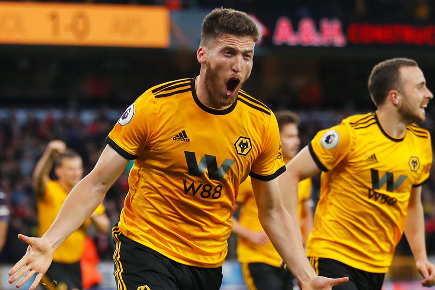 Matt Doherty, Wolves