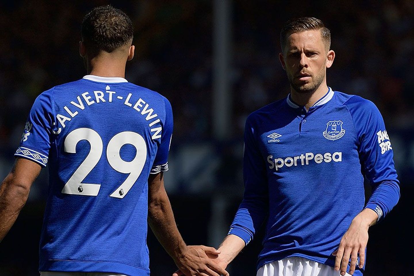 Dominic Calvert-Lewin and Gylfi Sigurdsson, Everton