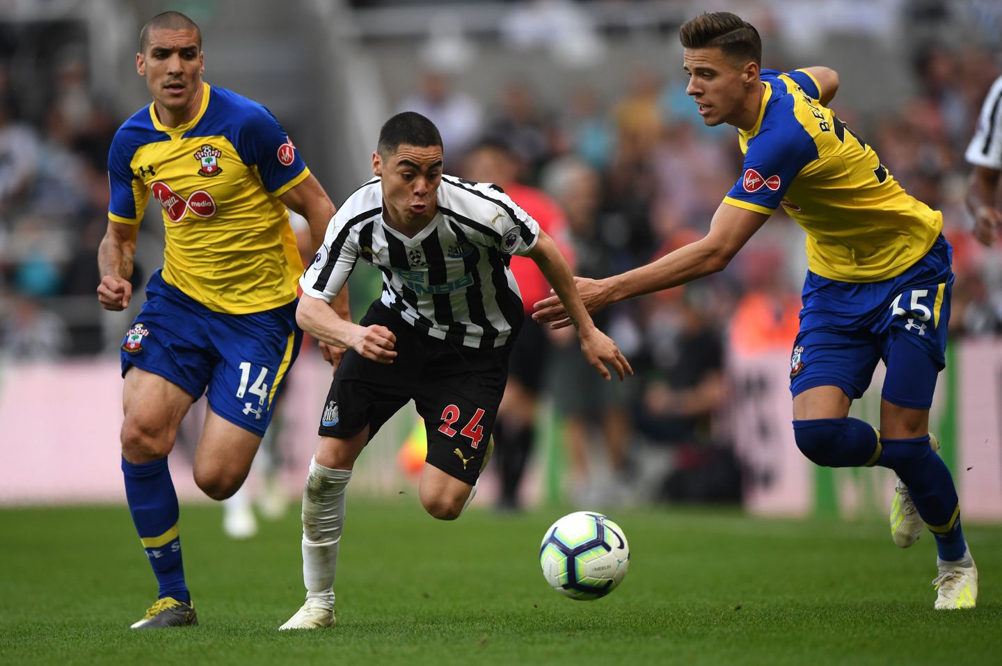 Miguel Almiron, NEWSOU