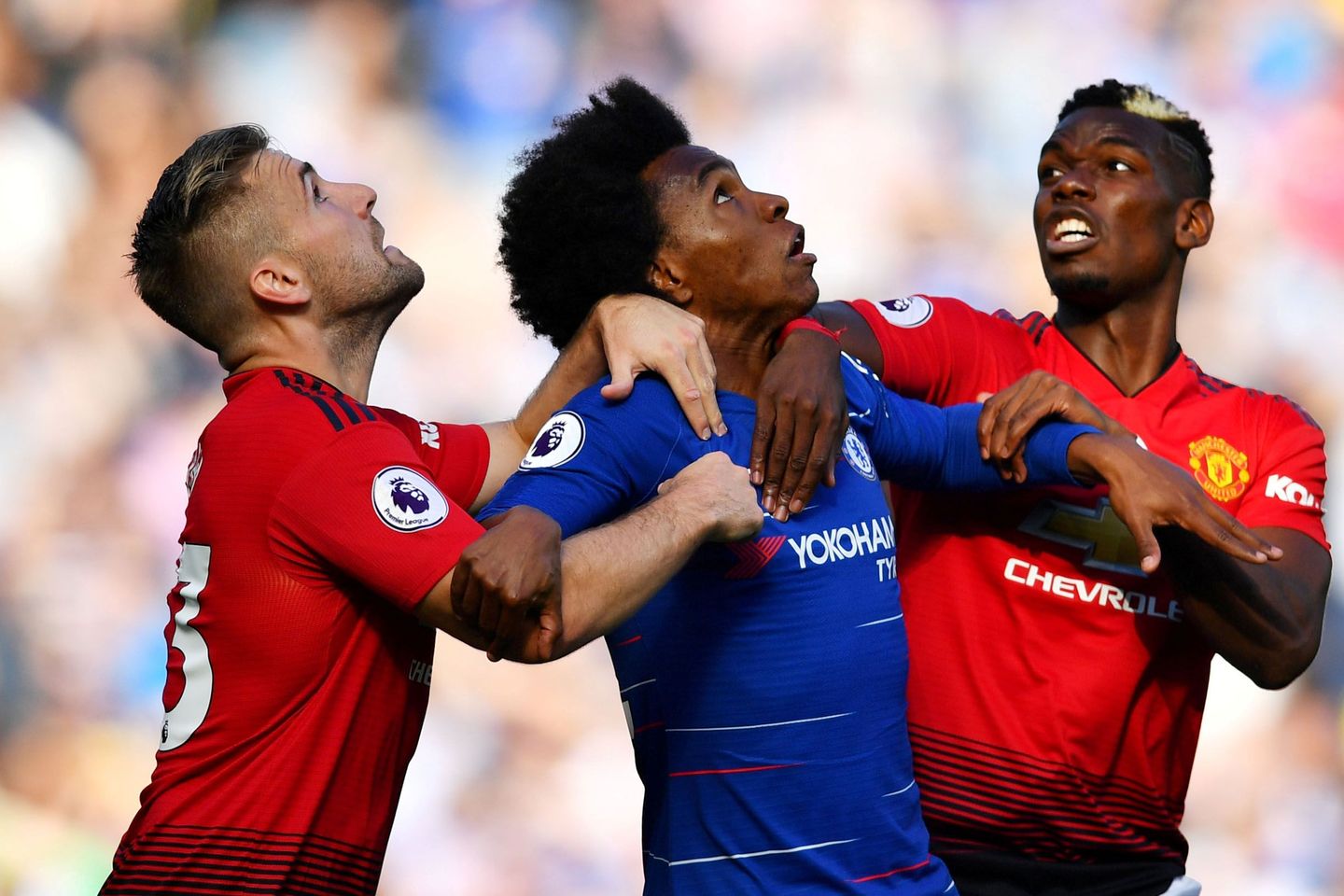 Luke Shaw and Paul Pogba, Man Utd, and Willian, Chelsea
